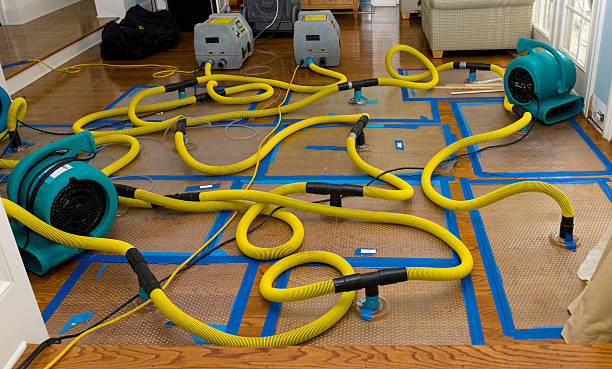 Professional Crawl Space Water Removal technician working in Virginia, IL